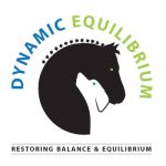 New logo for Dynamic Equilibrium