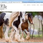 Peggy Sue's Gypsy Cobs website design
