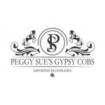 New logo for Peggy Sue's Gypsy Cobs