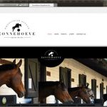 Zonnehoeve Equestrian Estate website creation