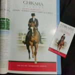 Chikara advert