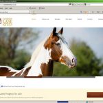 Website for London Lane Stud