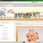 New website for Vet2PetNet