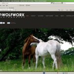 Website for Wolfworx Photography