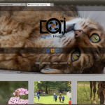 Atomic Images website and logo design