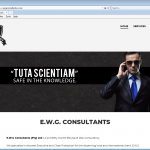EWG Consultants website and logo design
