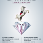 SA Lipizzaners poster & flyer design