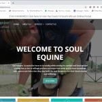 New website for Soul Equine