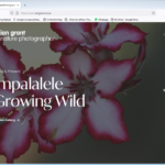 Gallery website for Ian Grant Nature Photography